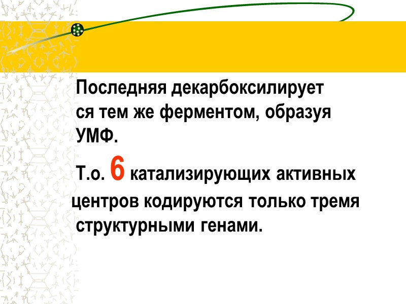 Последняя декарбоксилирует            ся